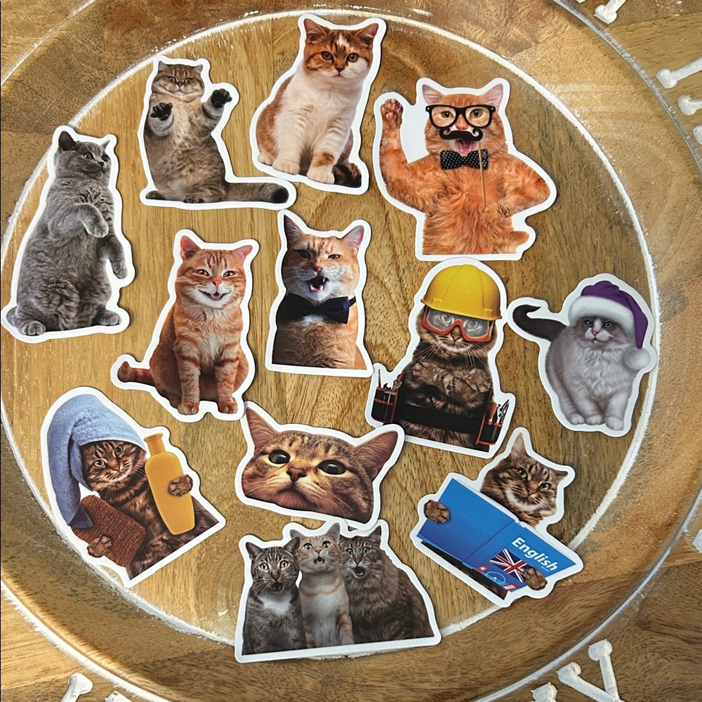 🟢3/$15 Cute Cat Sticker Set NEW x12 construction worker cat, spa cat